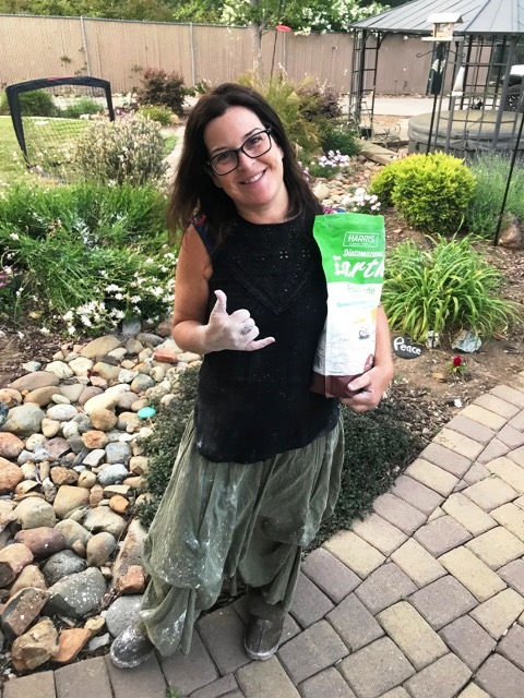 Petunia in garden on Mother's Day